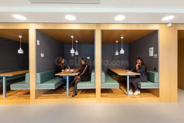 Oficina en alquiler en Paseo de la castellana - foto 14