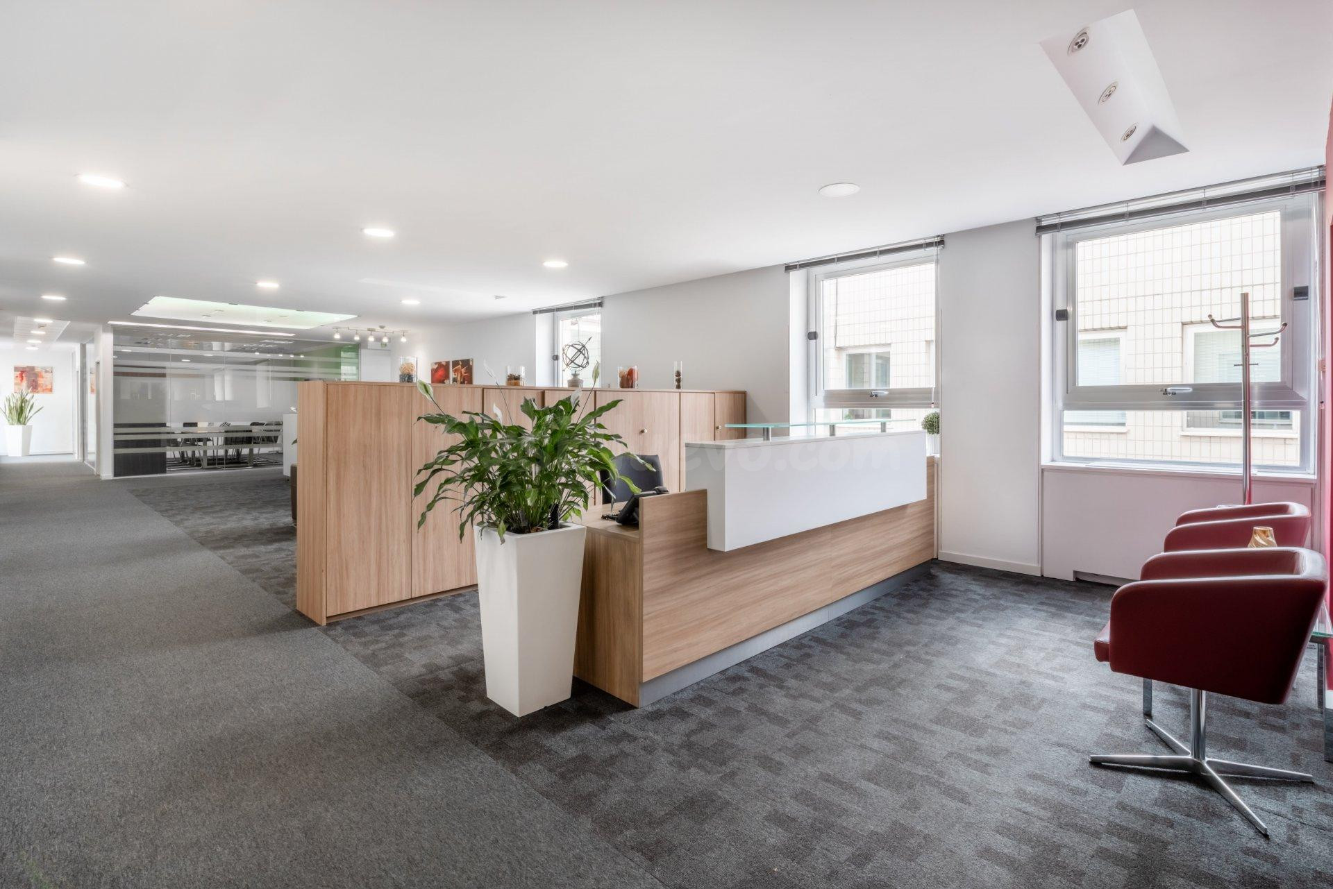 Oficina en alquiler en Paseo Paseo de la Castellana - foto 7