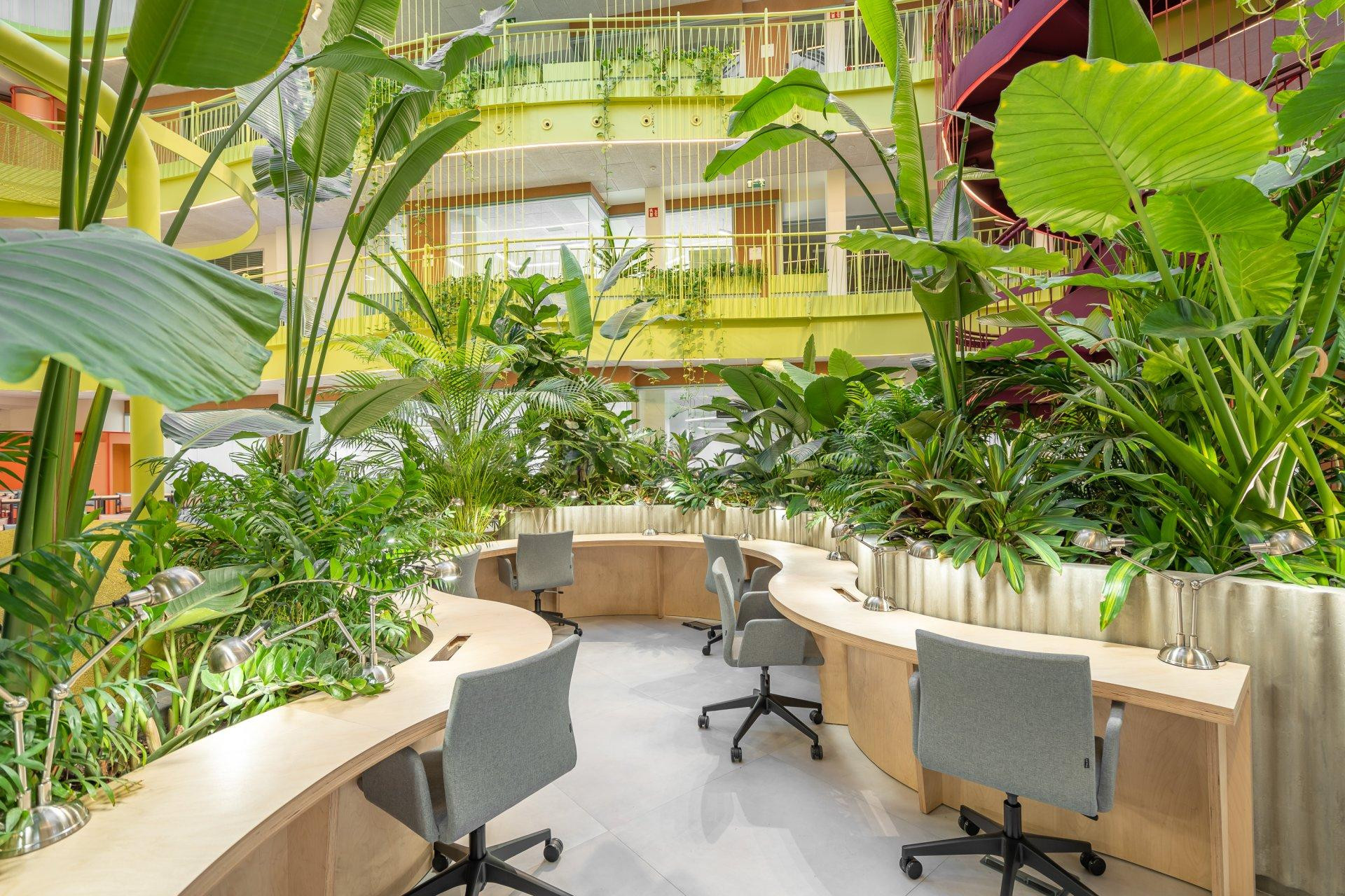 Oficina en alquiler en Paseo de la Habana - foto 8