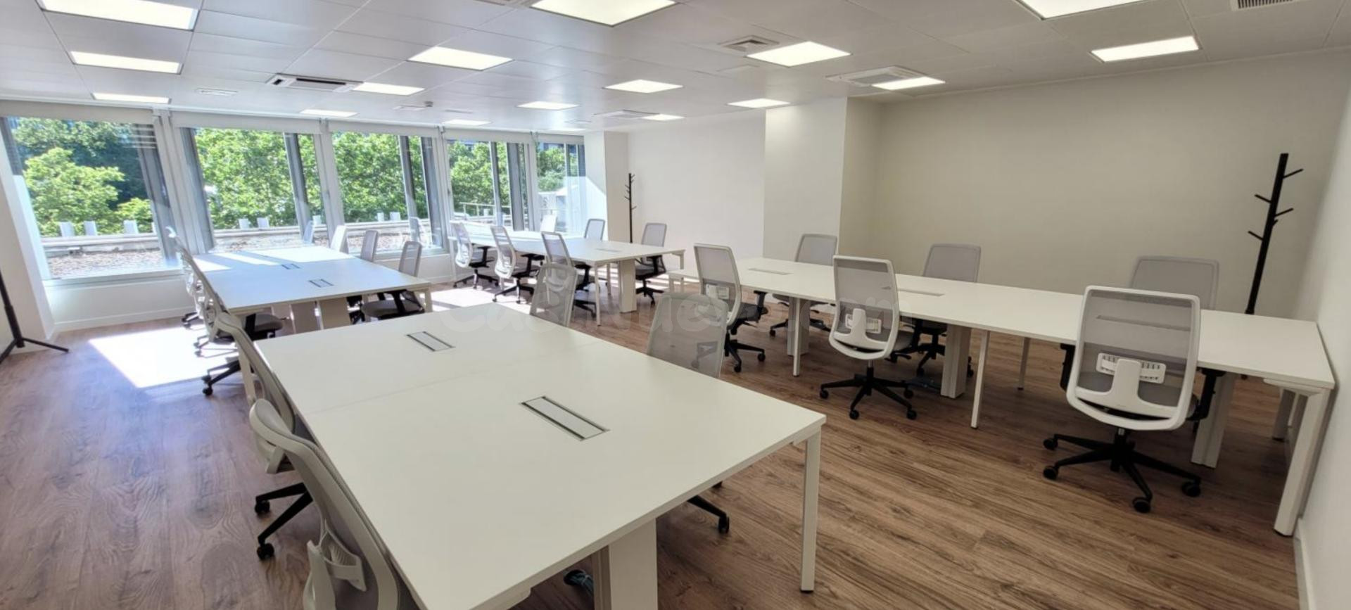 Oficina en alquiler en Paseo de la Castellana, - foto 13