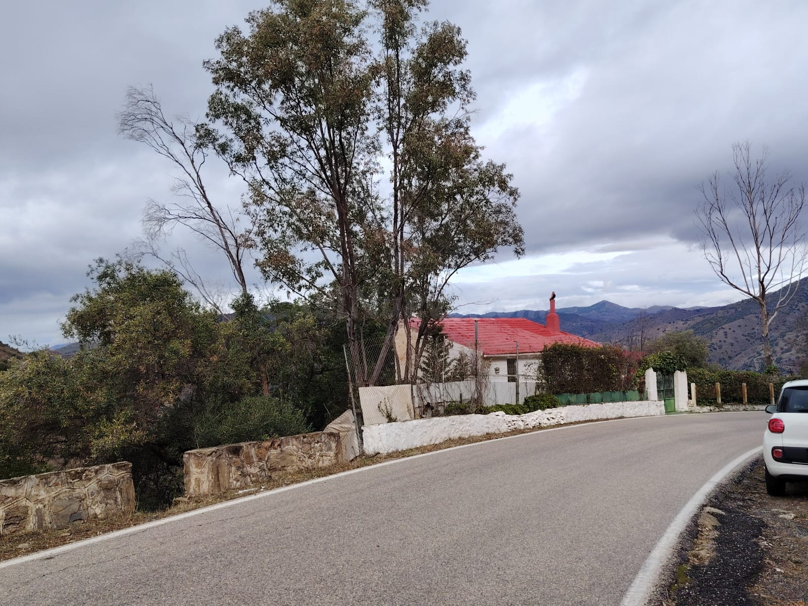venta de finca de secano en carretera de casabermeja. - foto 3