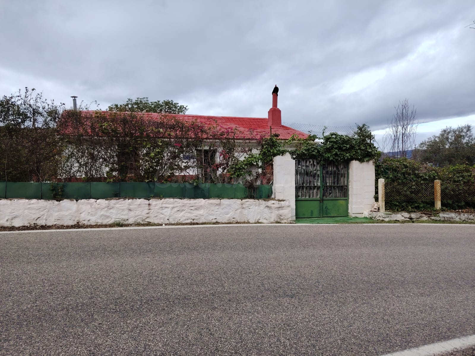 venta de finca de secano en carretera de casabermeja. - foto 4