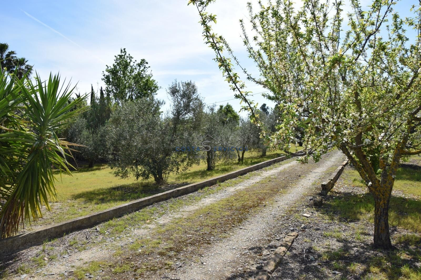 Finca rustica La palma del Condado