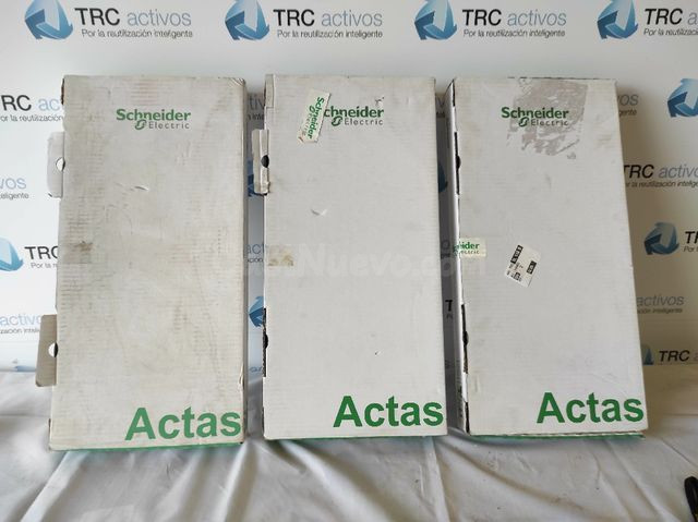 Lote de actas Schneider