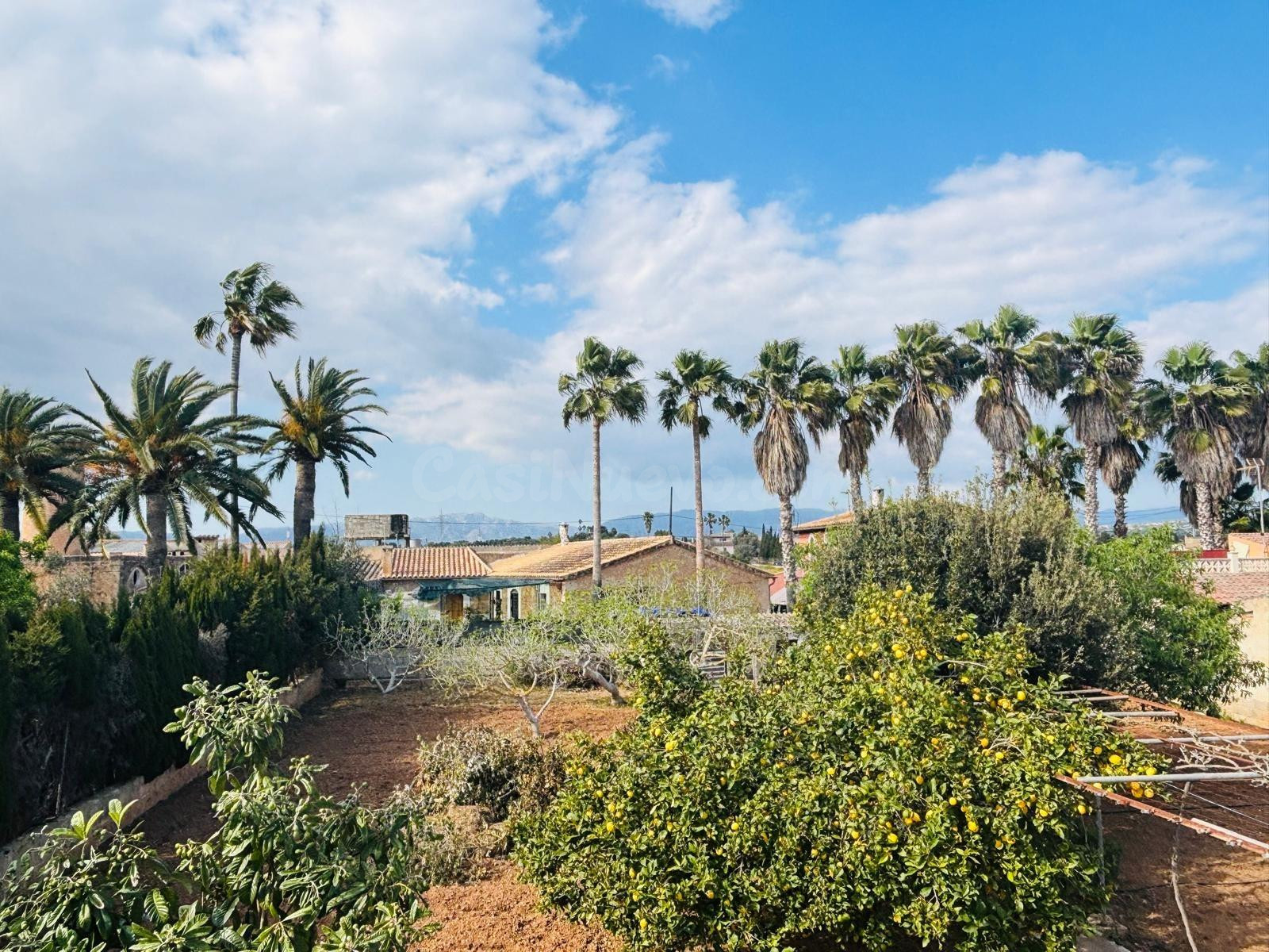 Encantadora Finca Rústica en Palma de Mallorca