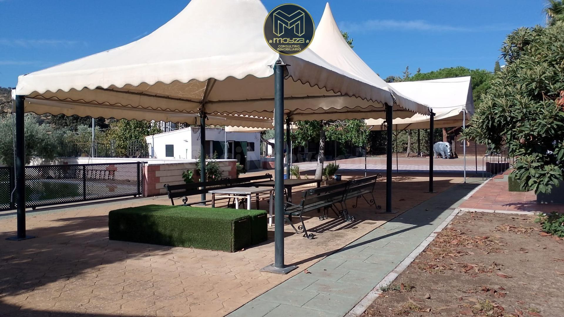 FINCA EN LINARES - foto 3