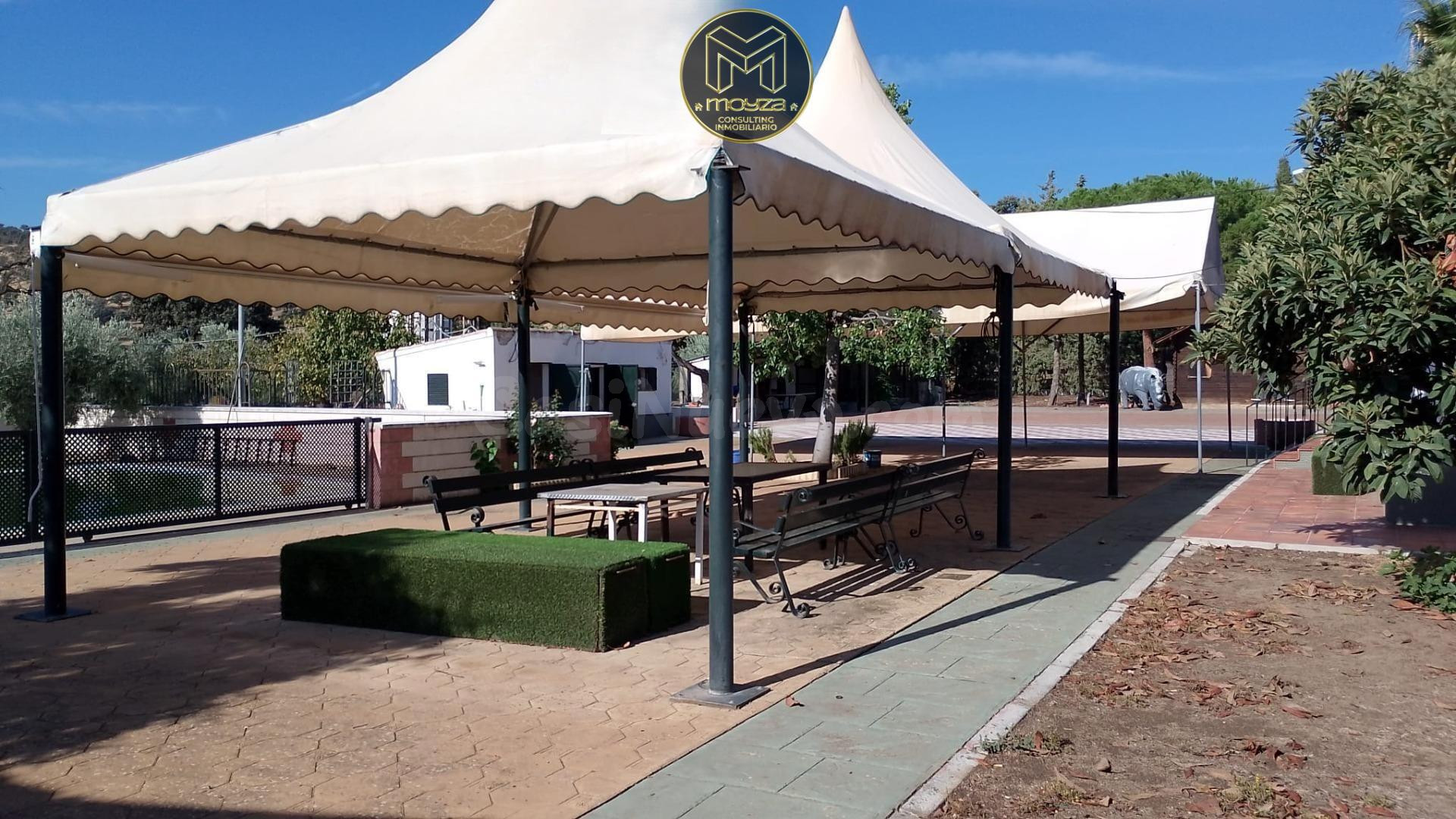 FINCA EN LINARES - foto 4