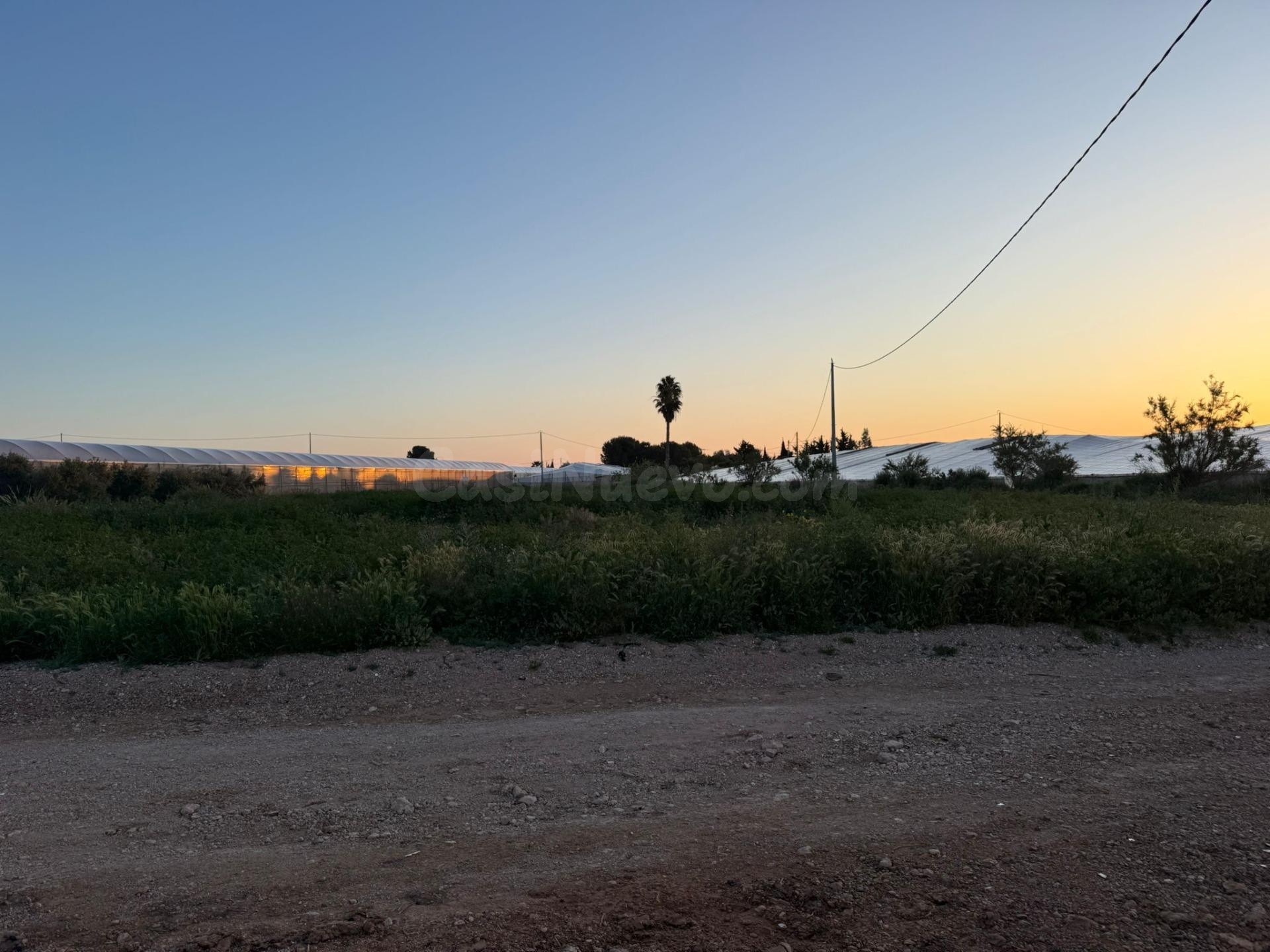 TERRENO RUSTICO SAN JAVIER