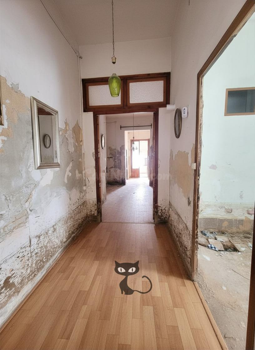Excelente Casa de Pueblo (124m2) en el Casco Antiguo para Reformar (2 Escrituras)!!! - foto 3