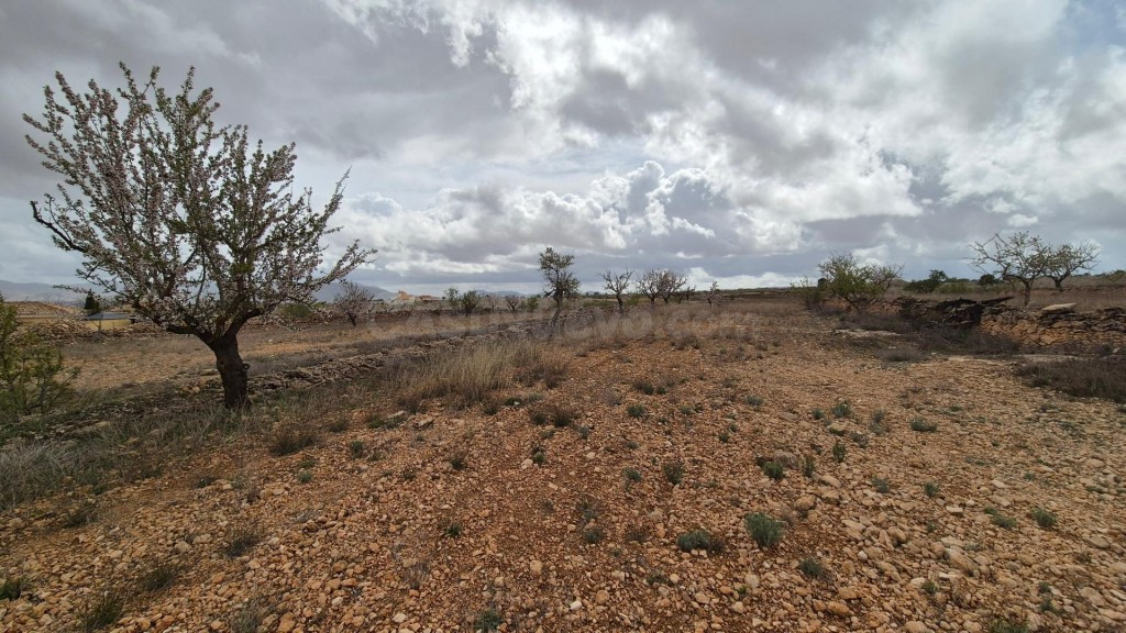 Fantástico terreno edificable con vistas a la sierra Salinas - foto 4
