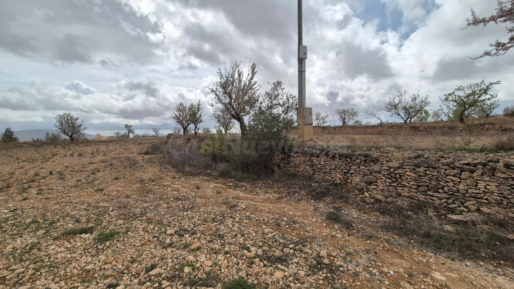 Fantástico terreno edificable con vistas a la sierra Salinas - foto 5