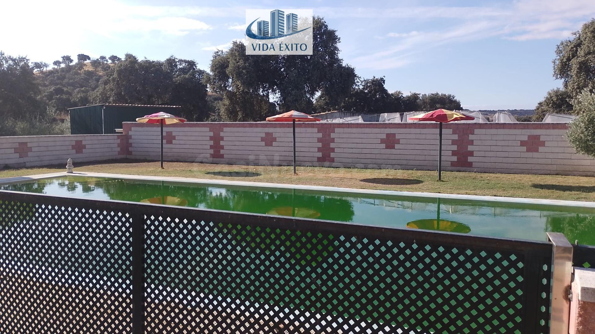 FINCA EN LINARES - foto 3