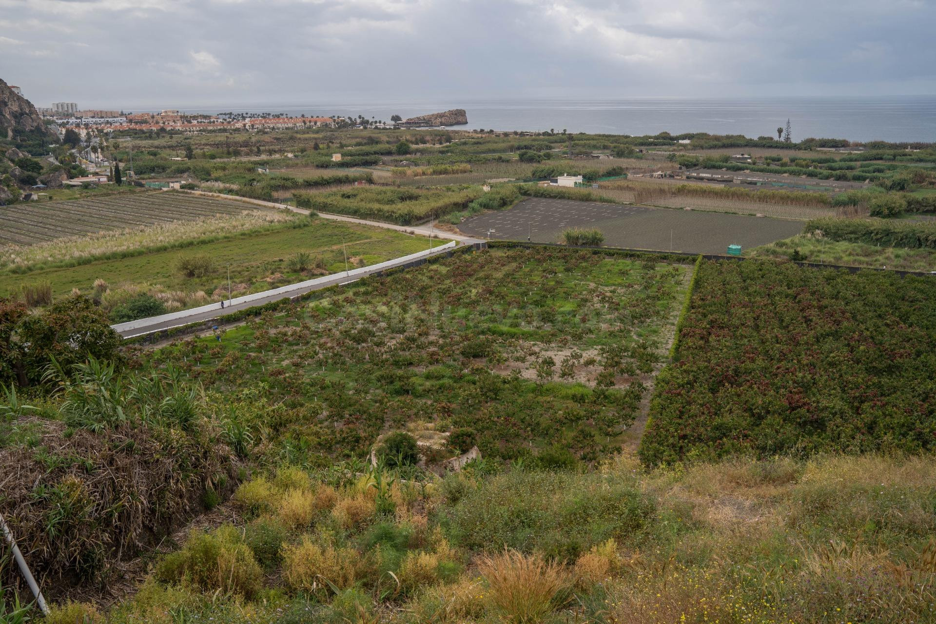 Finca con unas vistas de ensueño en Salobreña - foto 2