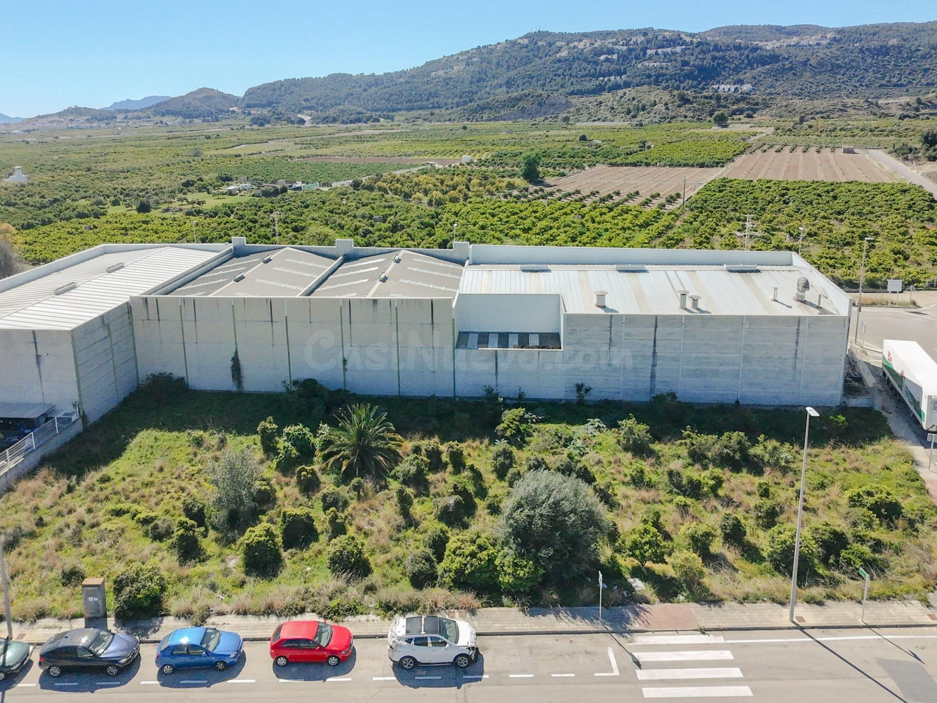 Suelo industrial en La Alqueria de la Comtessa – Excelente u - foto 3