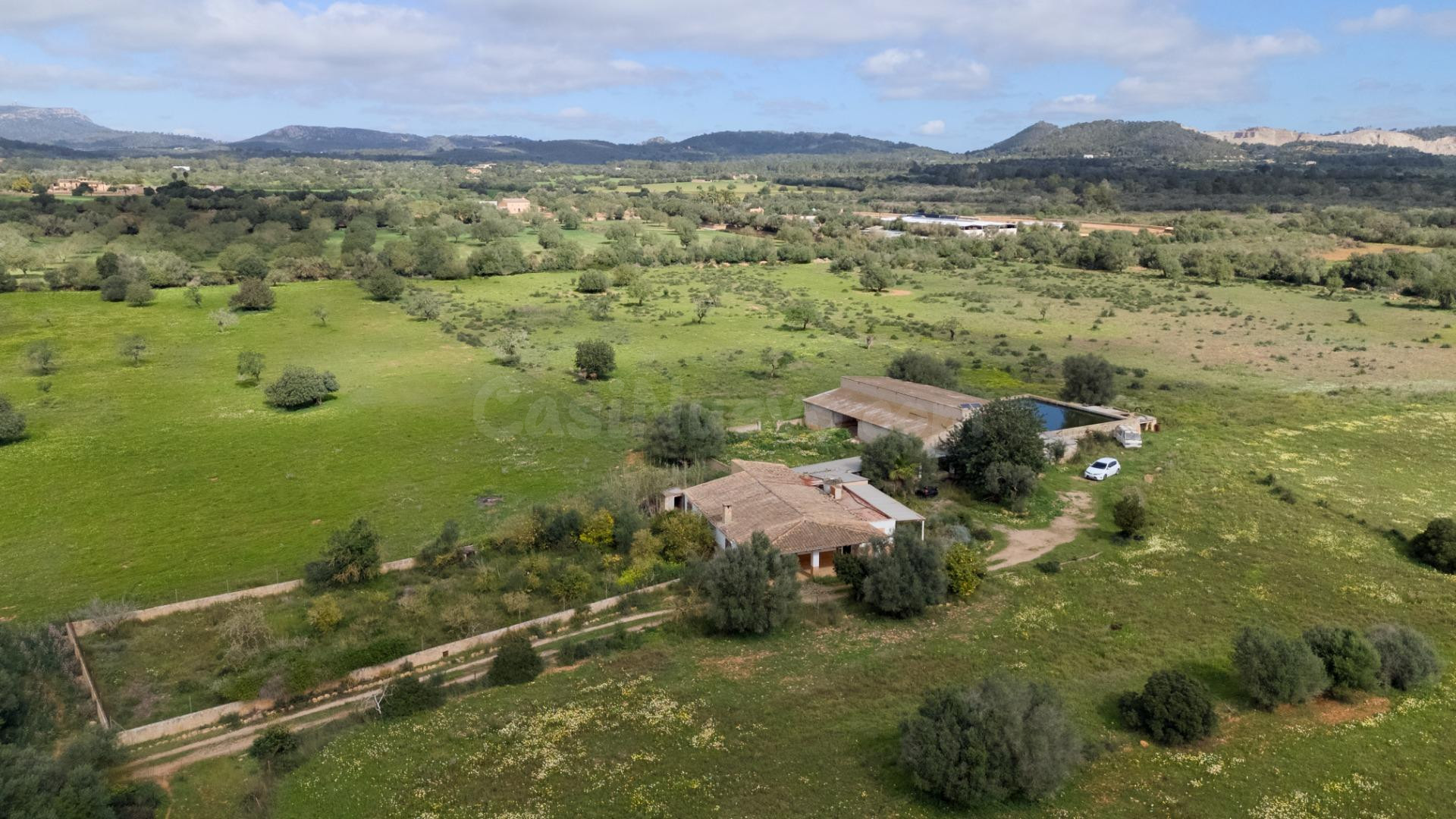 Finca rústica de más de 10 hectáreas con vivienda, nave agrí - foto 2
