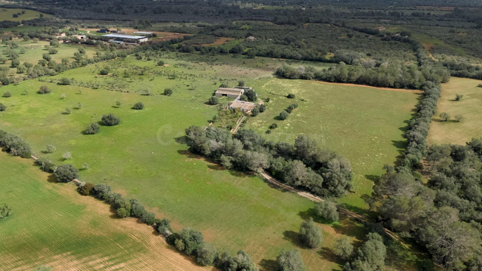 Finca rústica de más de 10 hectáreas con vivienda, nave agrí - foto 3