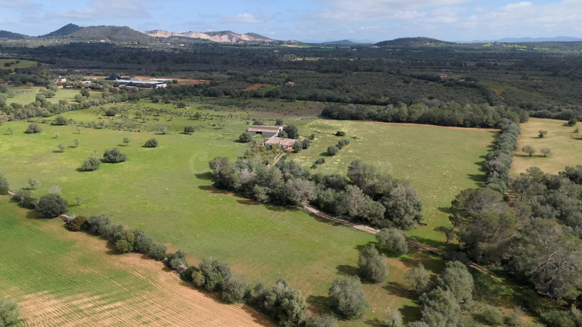 Finca rústica de más de 10 hectáreas con vivienda, nave agrí - foto 4