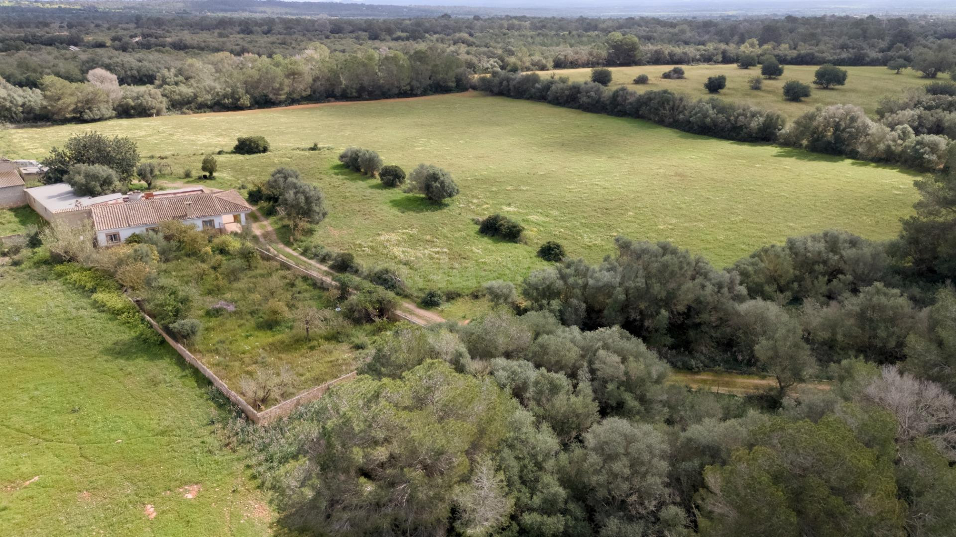 Finca rústica de más de 10 hectáreas con vivienda, nave agrí - foto 5