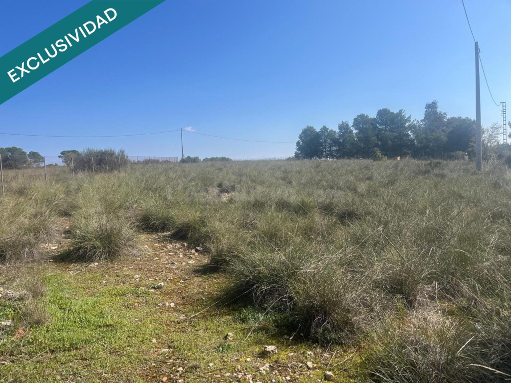 Finca rústica de 7.300 m² situada a tan solo 7 minutos de Almansa - foto 2