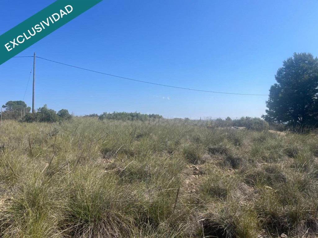 Finca rústica de 7.300 m² situada a tan solo 7 minutos de Almansa - foto 3