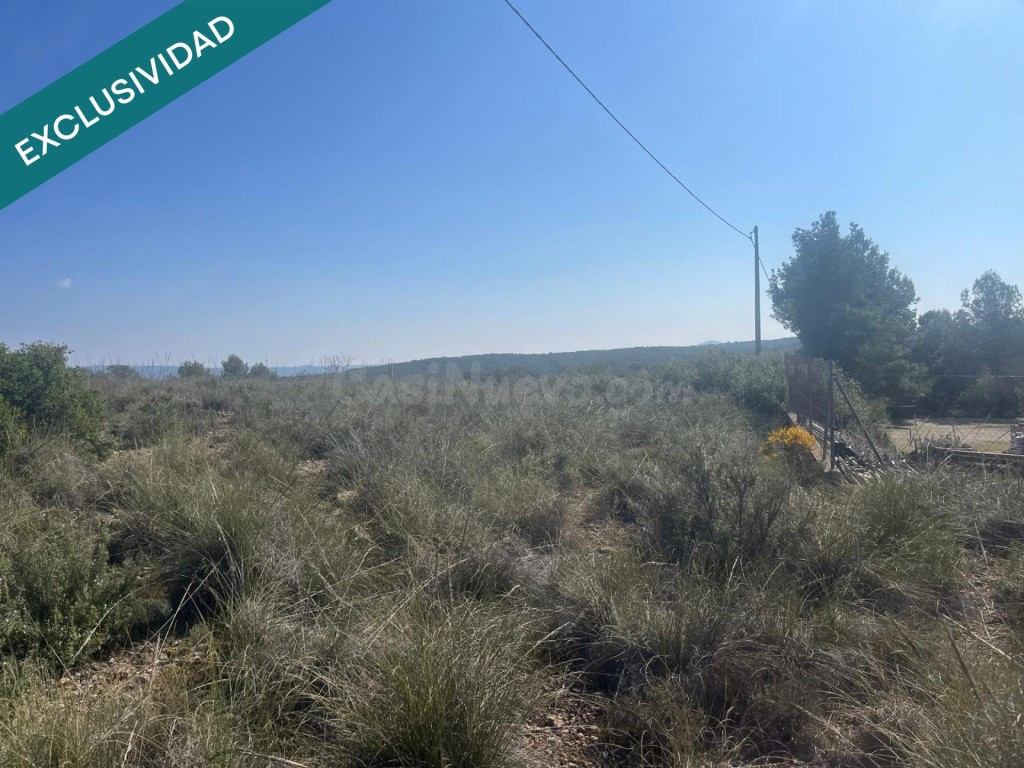 Finca rústica de 7.300 m² situada a tan solo 7 minutos de Almansa - foto 4