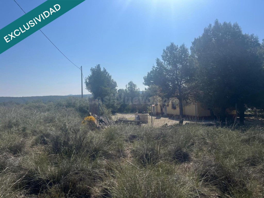 Finca rústica de 7.300 m² situada a tan solo 7 minutos de Almansa - foto 5