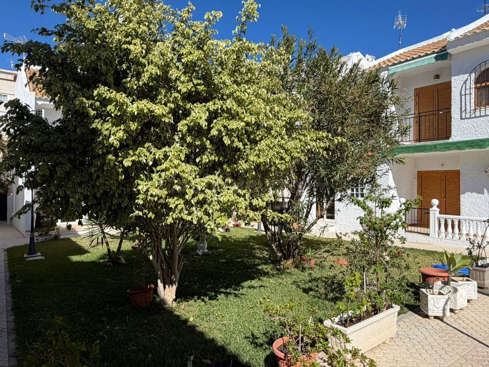 CASA BAJA-TIPO ADOSADO-NUEVA TORREVIEJA-PLAYA LA CURA - foto 2