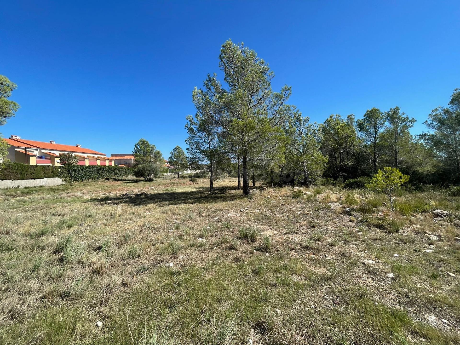 SUELO URBANIZABLE RESIDENCIAL - Miami Platja - TARRAGONA- - foto 5