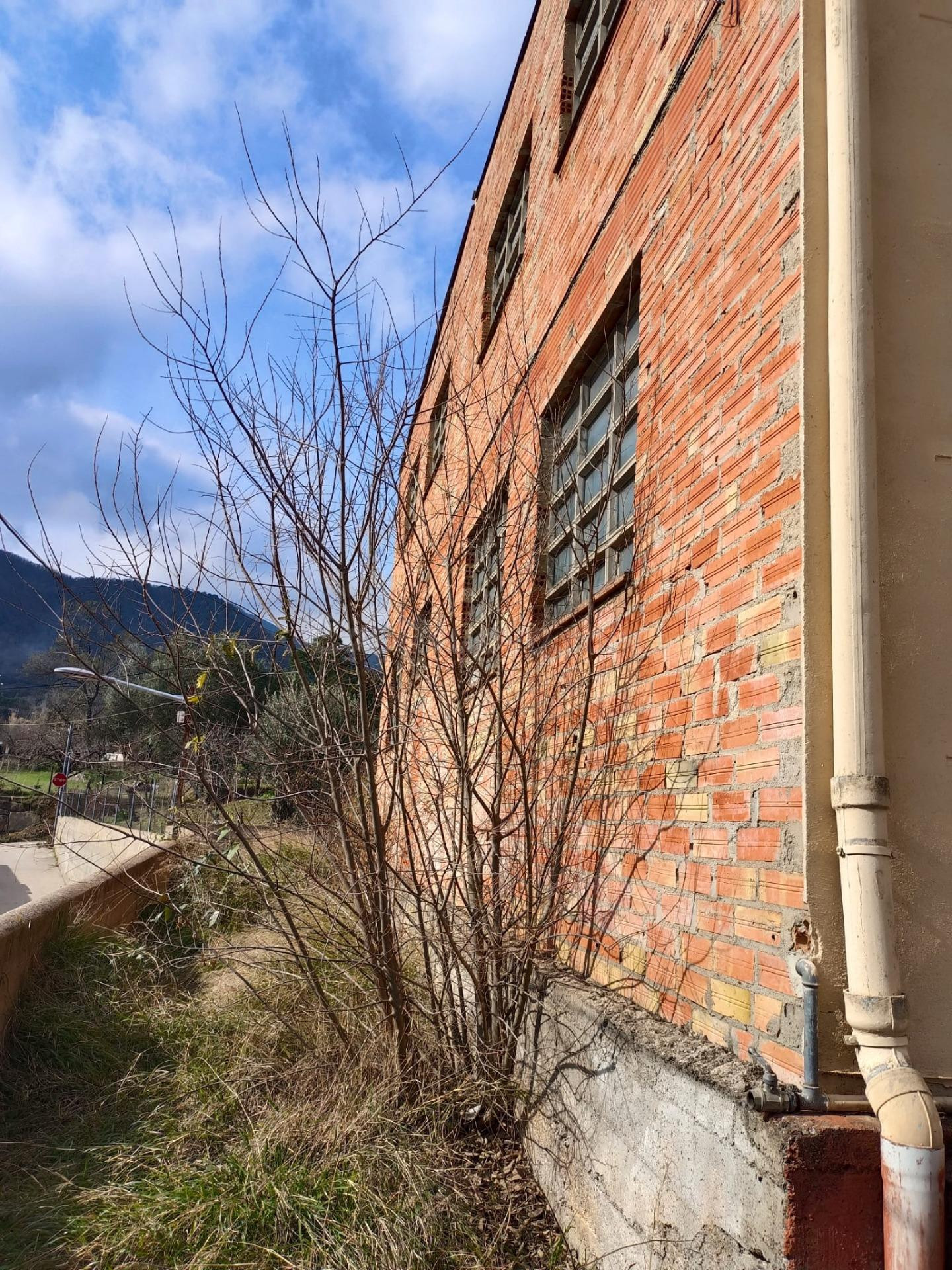 ¡OPORTUNIDAD DE INVERSIÓN! NAVE Y VIVIENDA EN GIRONA - foto 4