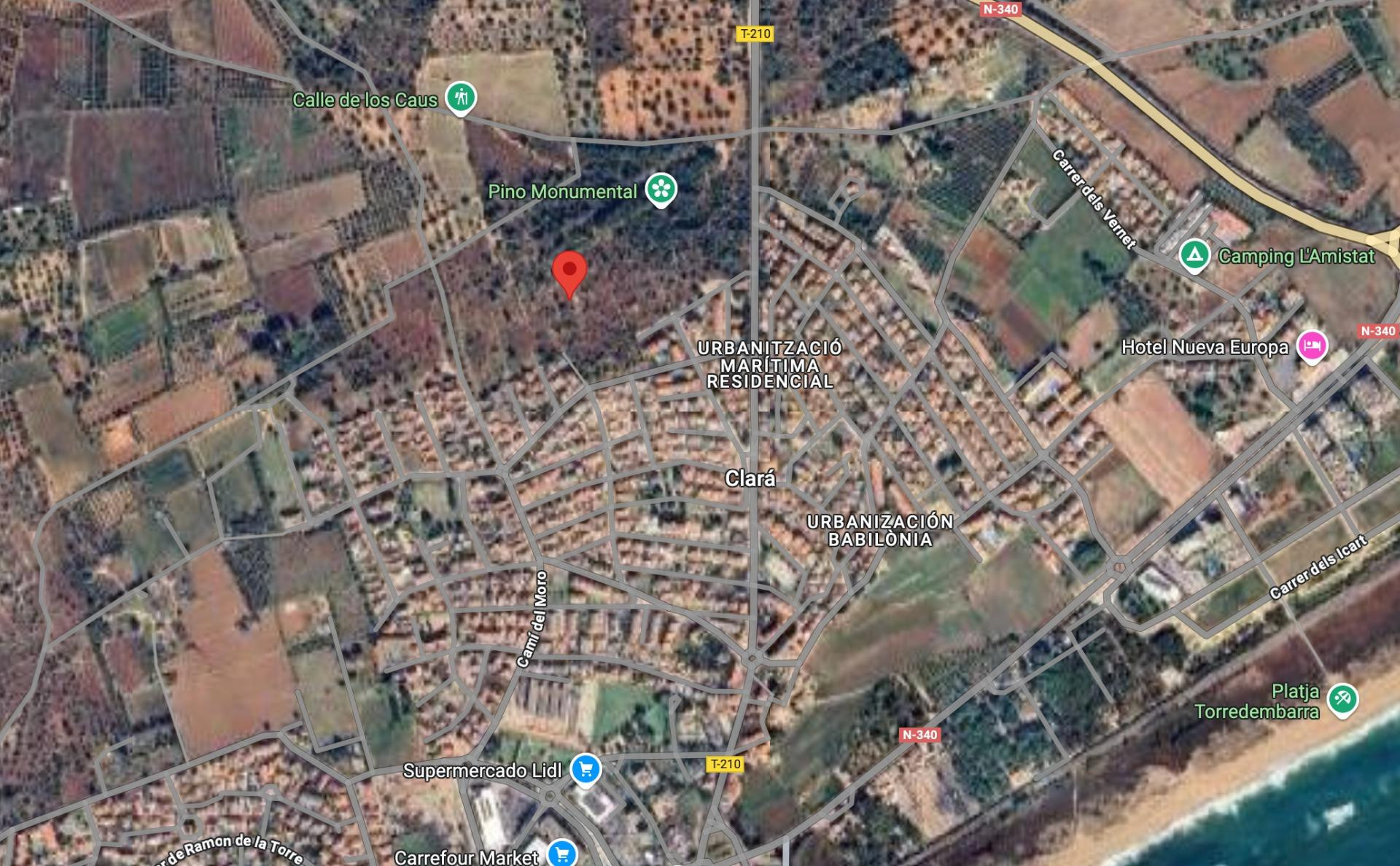 TERRENO RUSTICO EN TORREDEMBARRA - foto 2