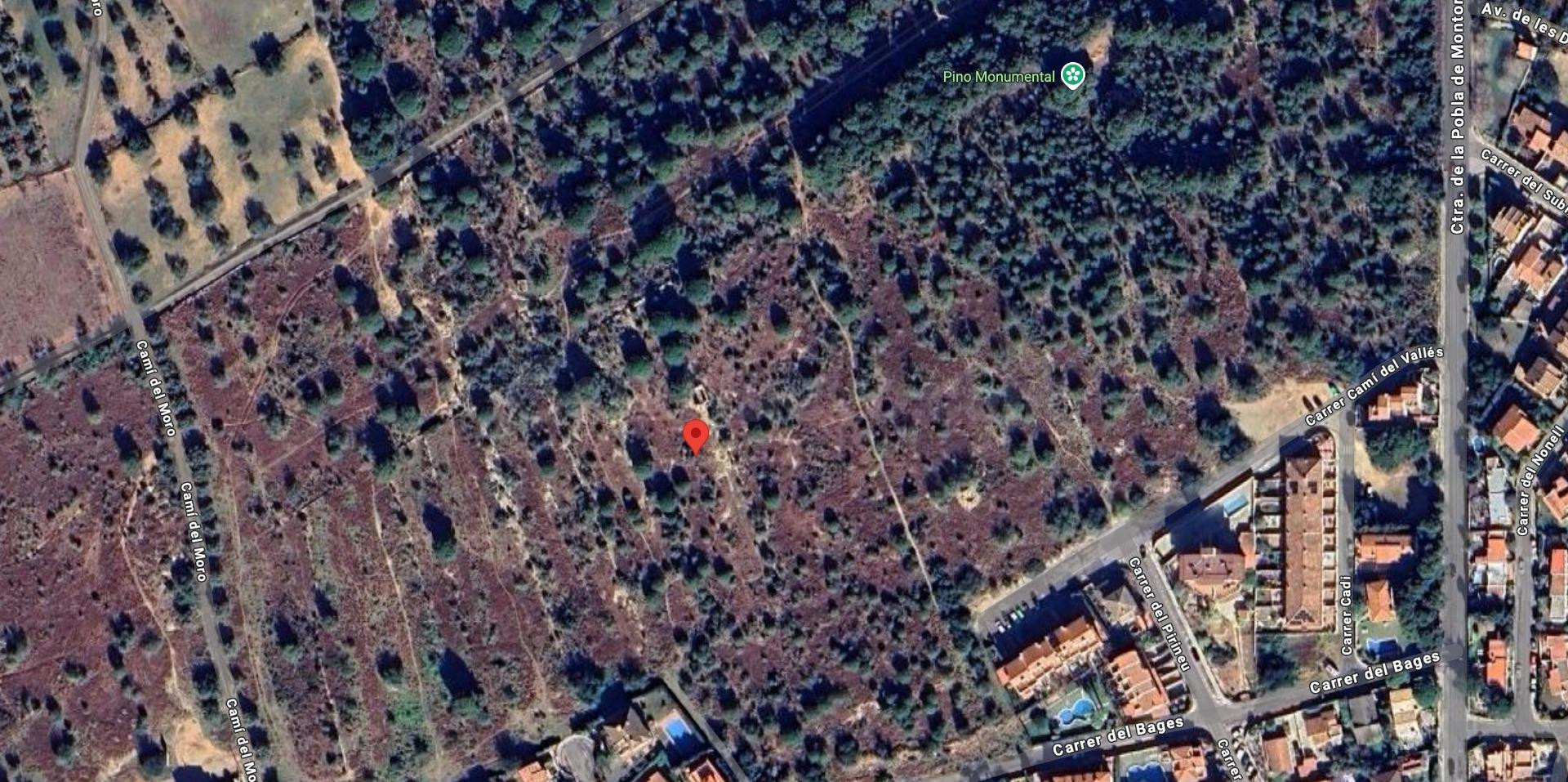 TERRENO RUSTICO EN TORREDEMBARRA - foto 3