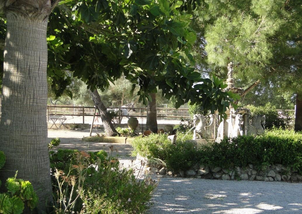 FINCA FAMILIAR U HOTEL RURAL PARA AMANTES DE LOS CABALLOS LI - foto 4
