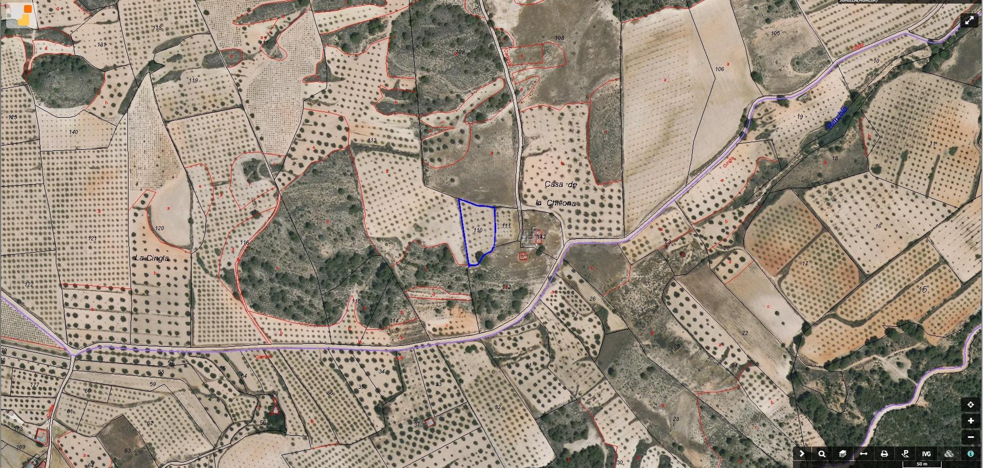 EN VENTA TERRENO RUSTICO CON ALMENDROS EN PRODUCCION