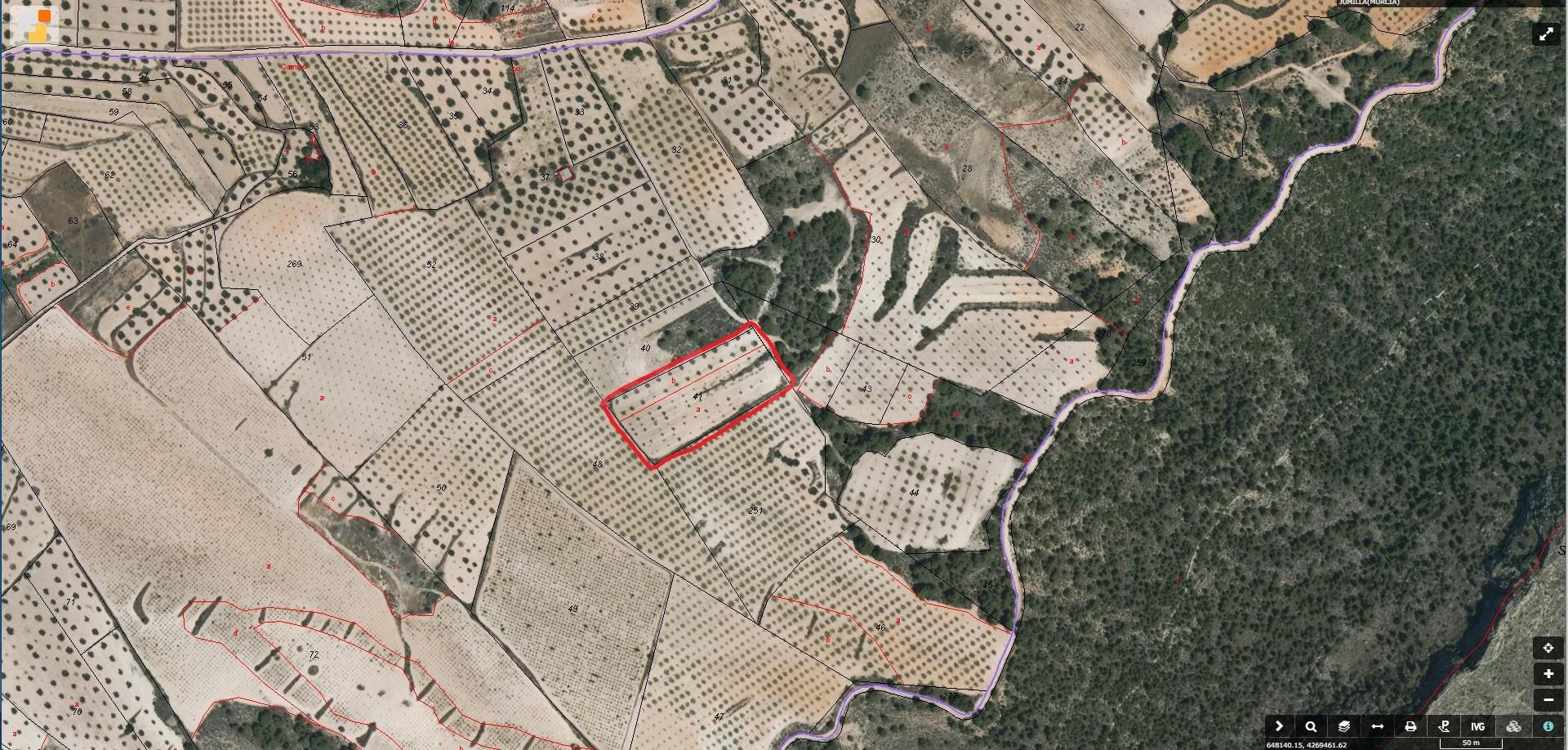 SE VENDE O SE ALQUILA TERRENO RUSTICO CON ALMENDROS EN PRODUCCION 7.263 m2