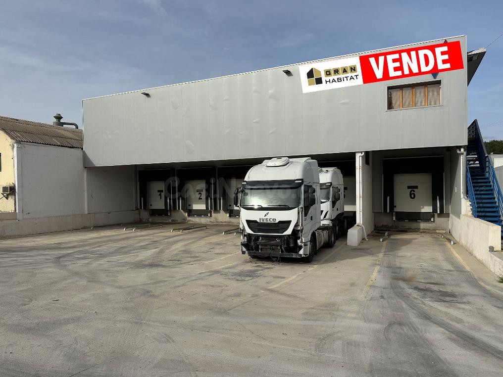 Nave logística con 9 muelles, cámaras frigoríficas y oficina - foto 2