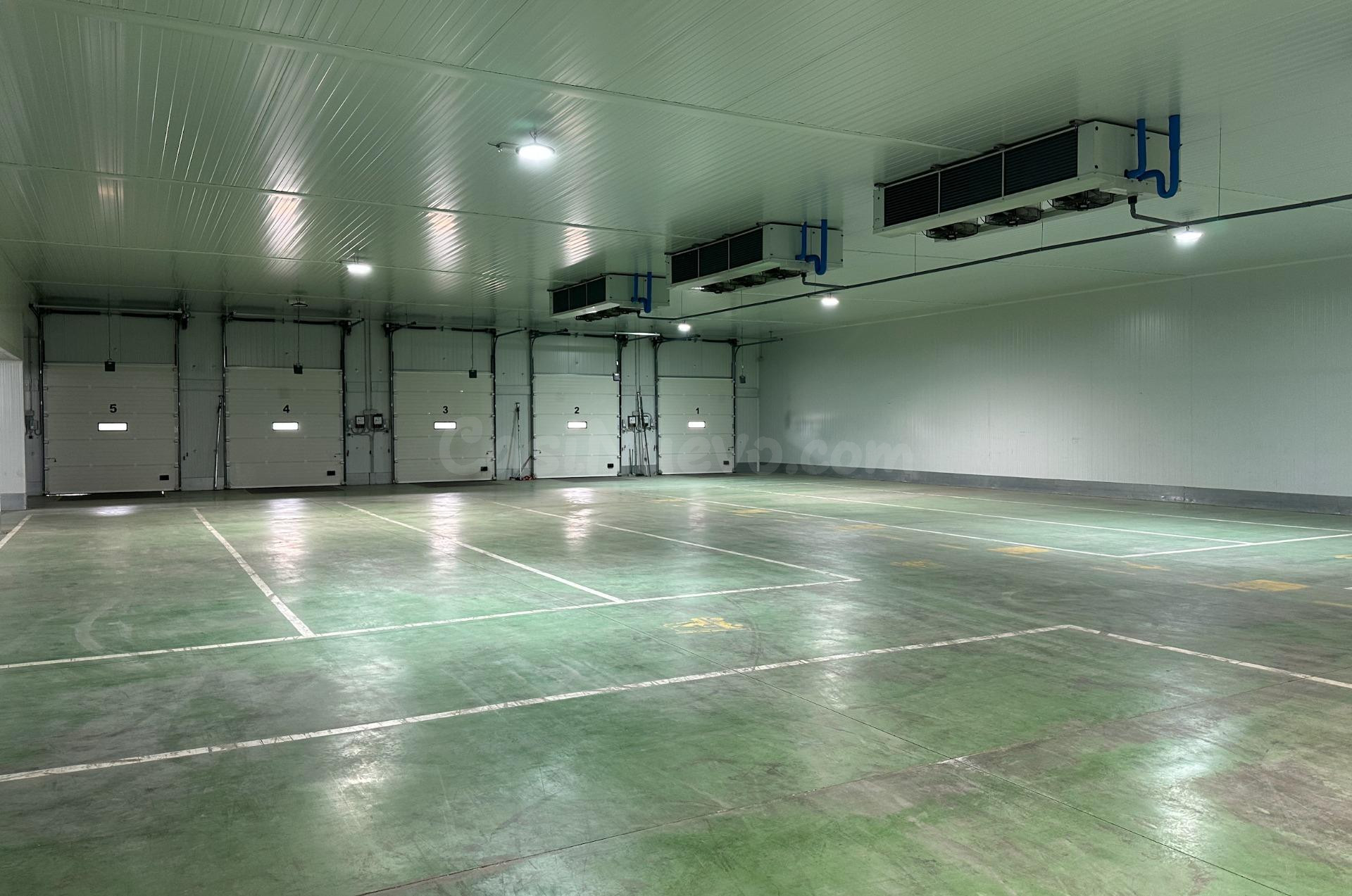 Nave logística con 9 muelles, cámaras frigoríficas y oficina - foto 4