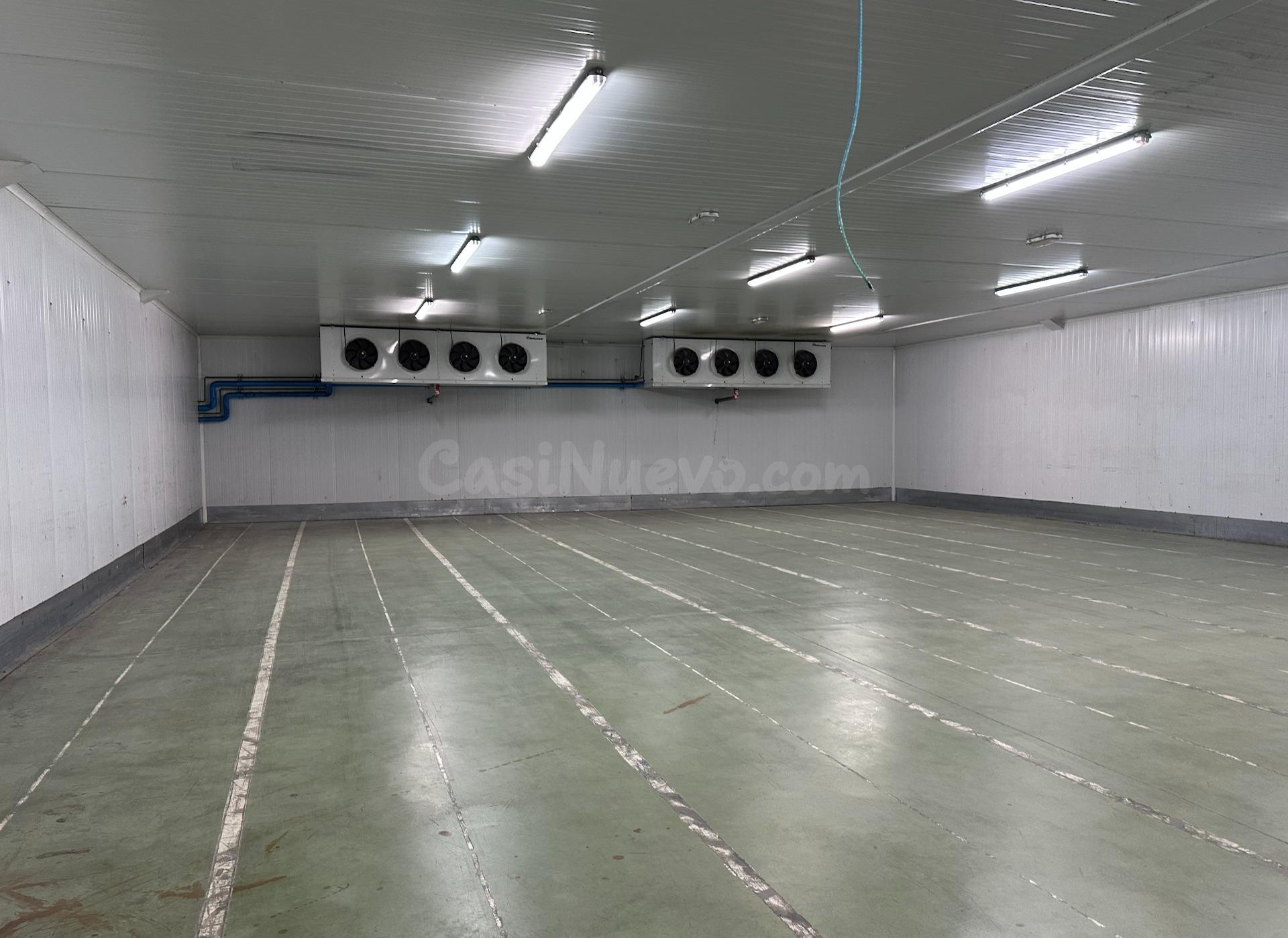 Nave logística con 9 muelles, cámaras frigoríficas y oficina - foto 5