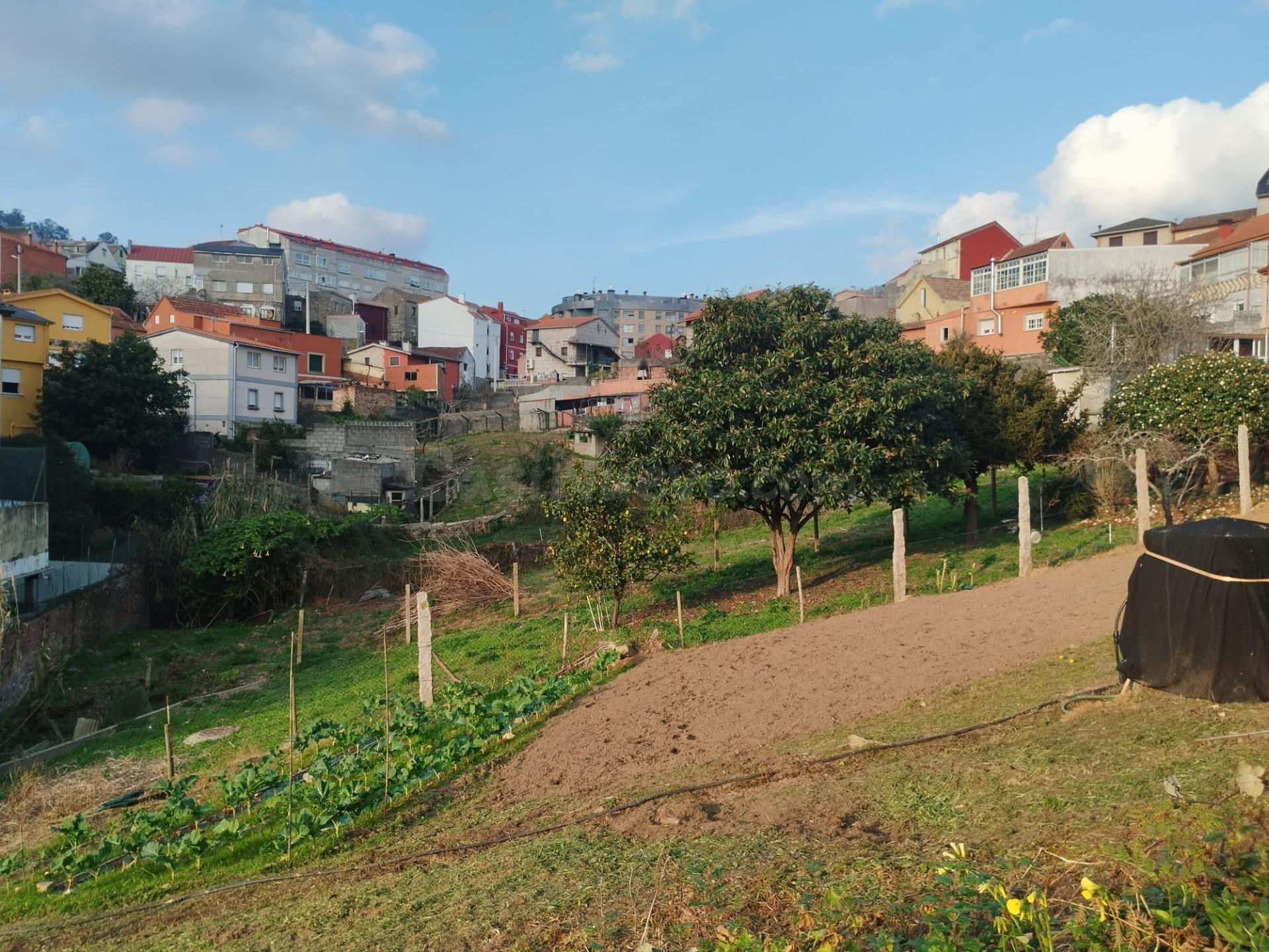 Terreno en Venta en Lavadores - foto 2
