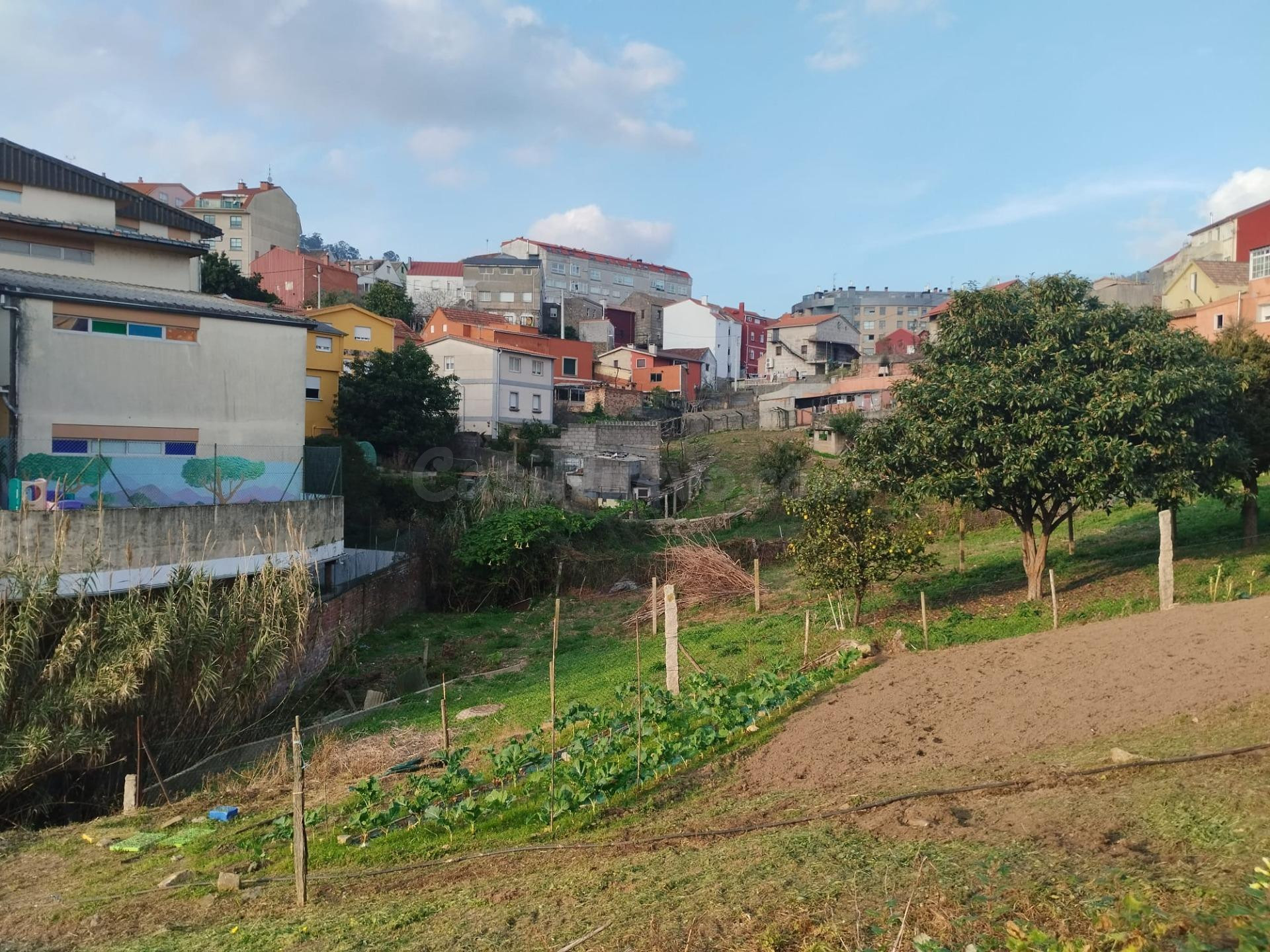 Terreno en Venta en Lavadores - foto 4