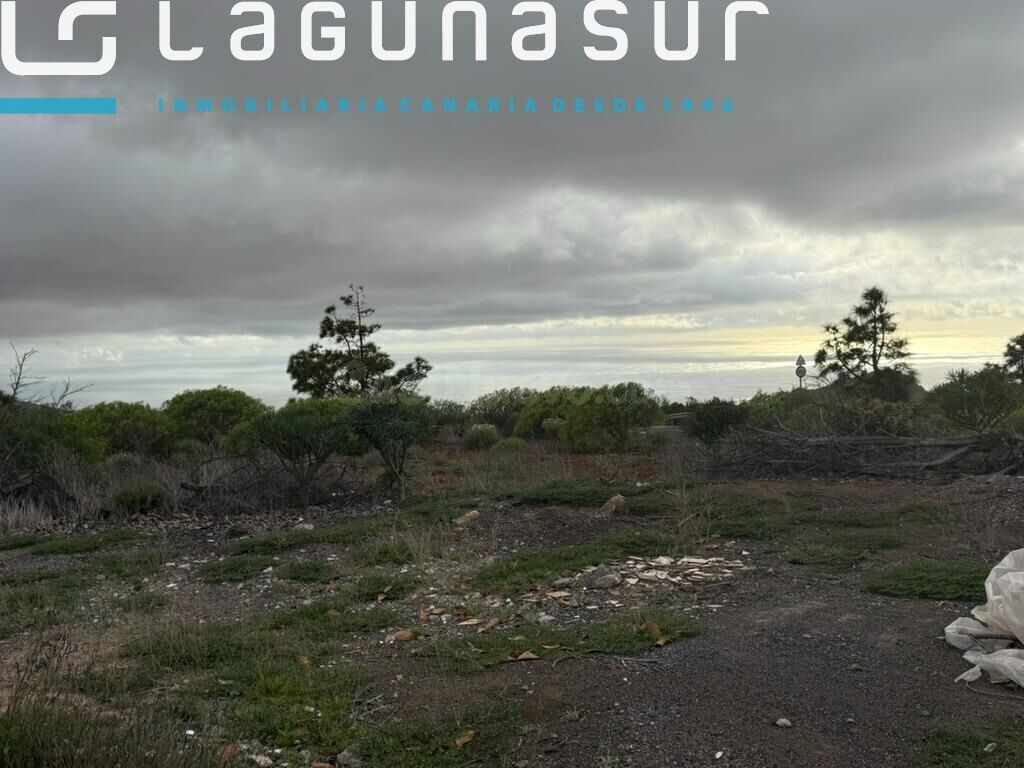 VENTA MAGNIFICA FINCA RUSTICA CON VISTAS - foto 5