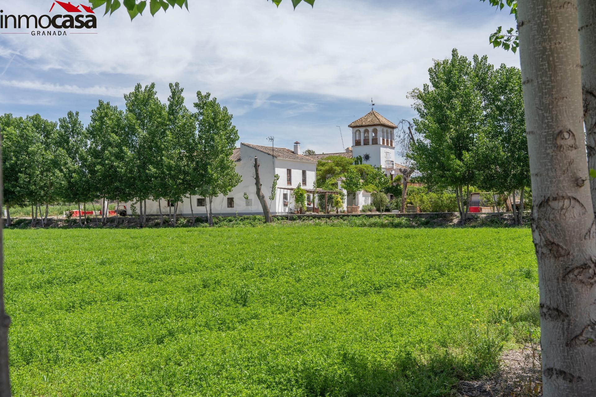 ¡Increíble Oportunidad! Cortijo en Venta en Vega de Granada, - foto 2