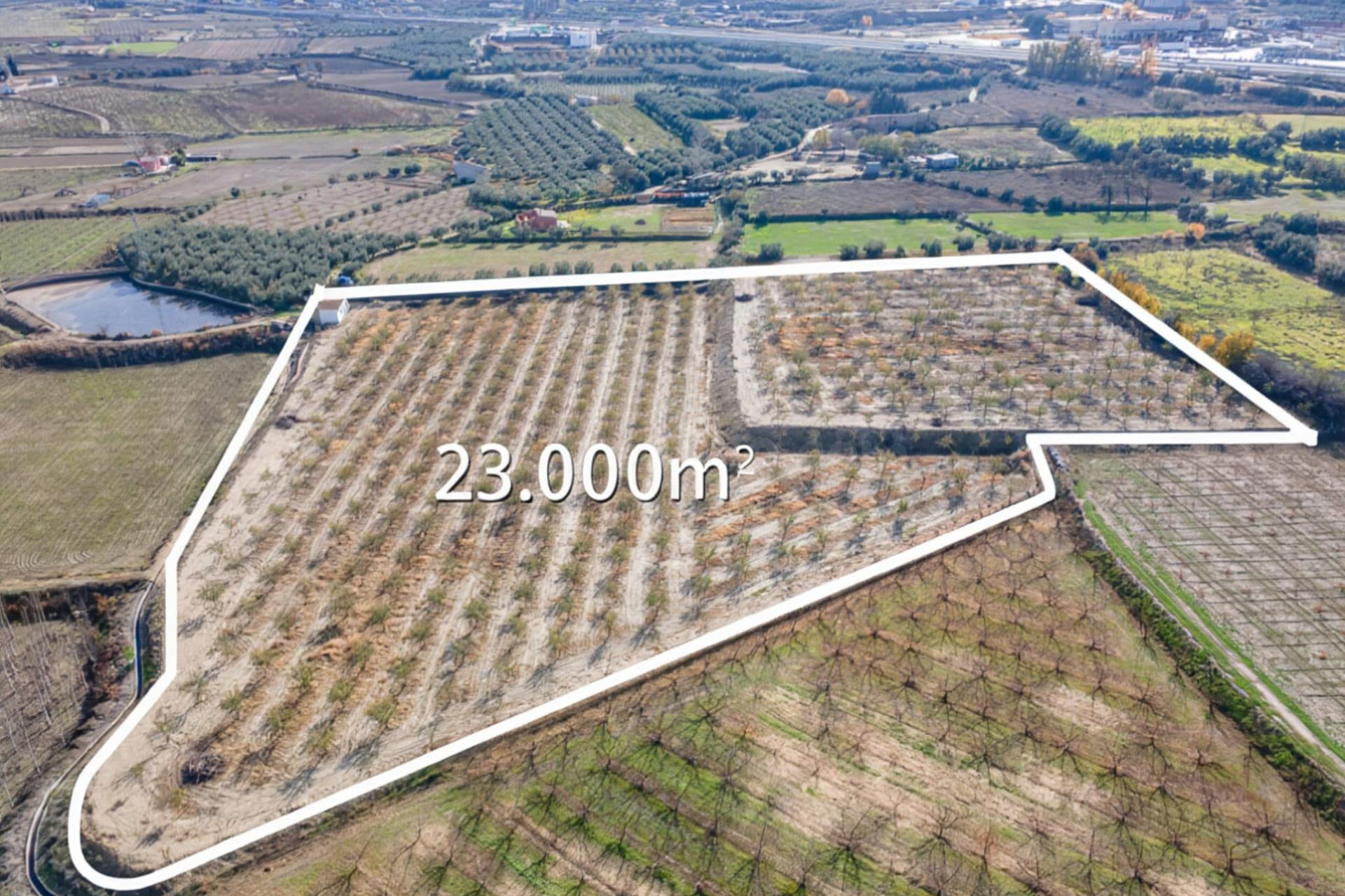 Finca rústica de almendros en Guadix – 23.285 m2 - foto 2
