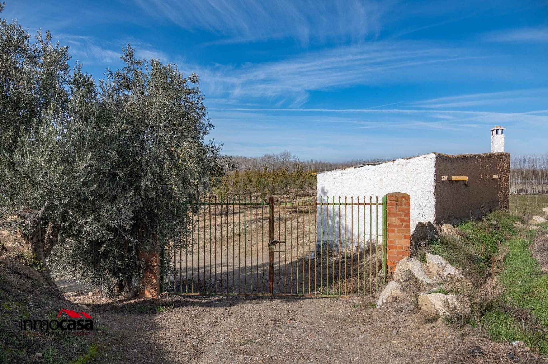 Finca rústica de almendros en Guadix – 23.285 m2 - foto 4