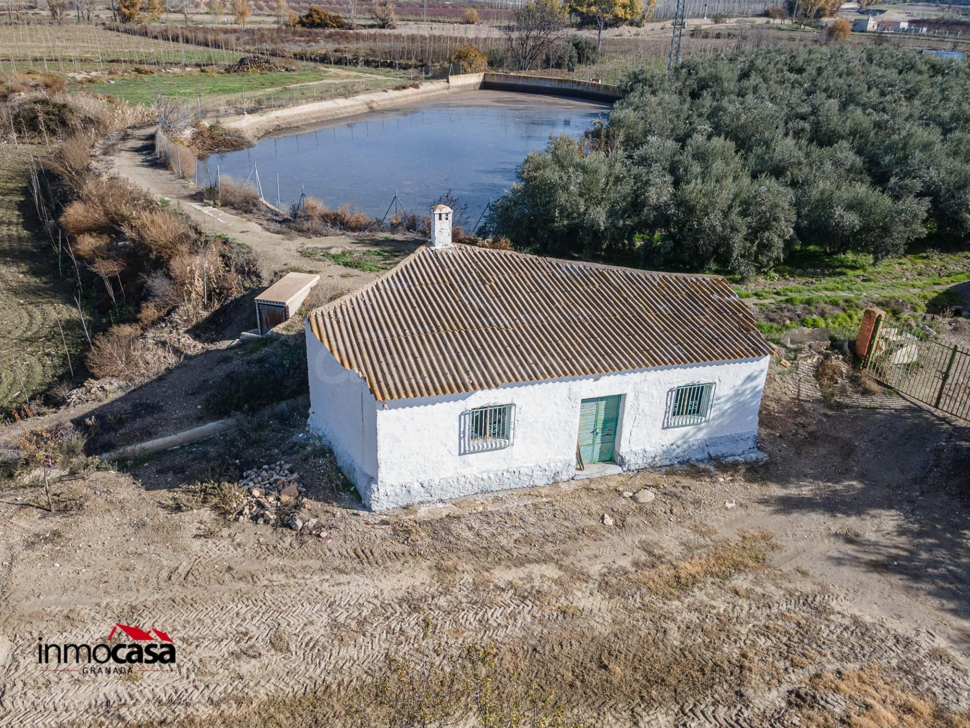 Finca rústica de almendros en Guadix – 23.285 m2 - foto 5