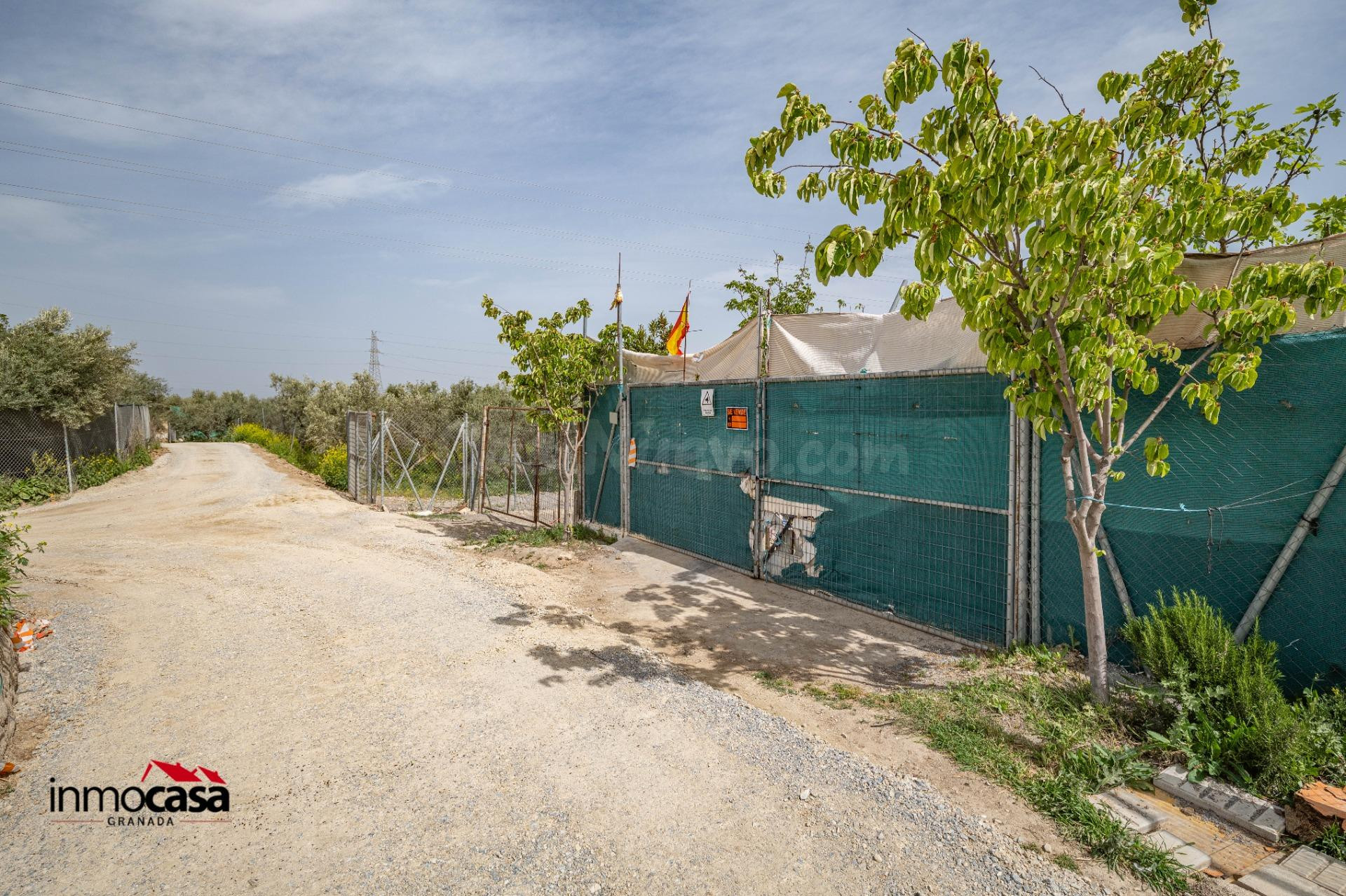 TERRENO AGRARIO EN LAS GABIAS. - foto 3