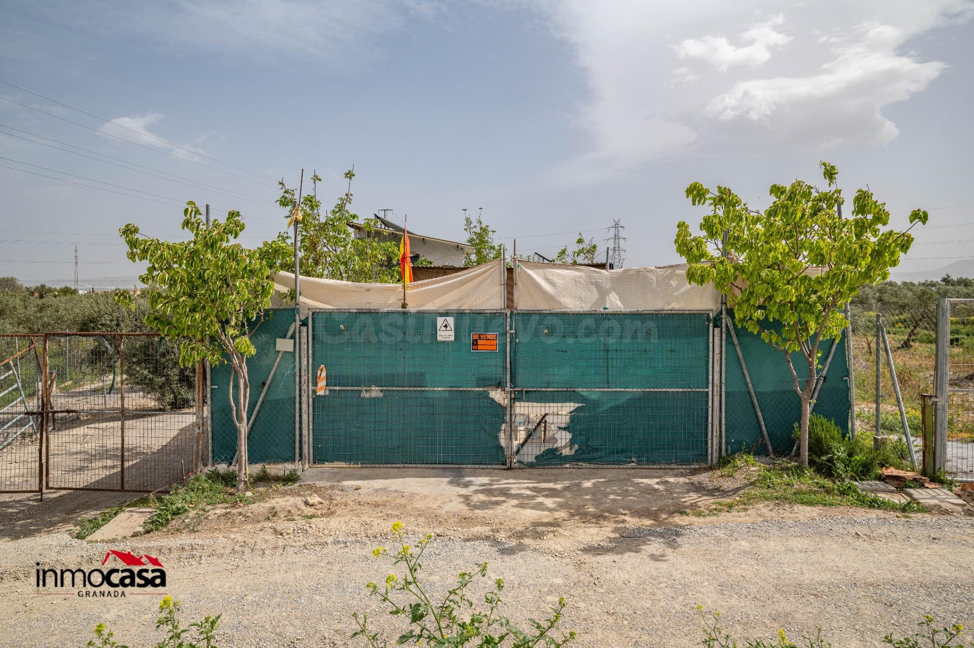 TERRENO AGRARIO EN LAS GABIAS. - foto 4