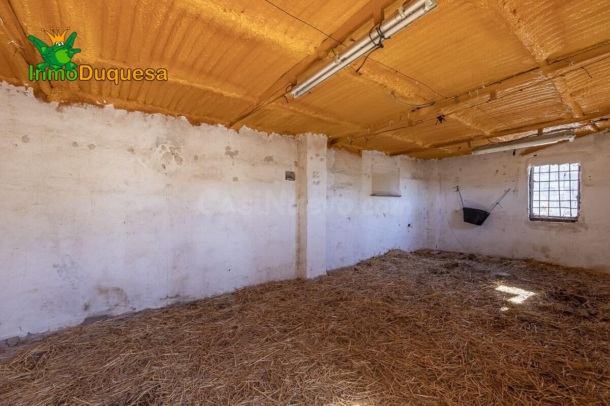 Finca rústica en Atarfe con 2.900 m2 - foto 2