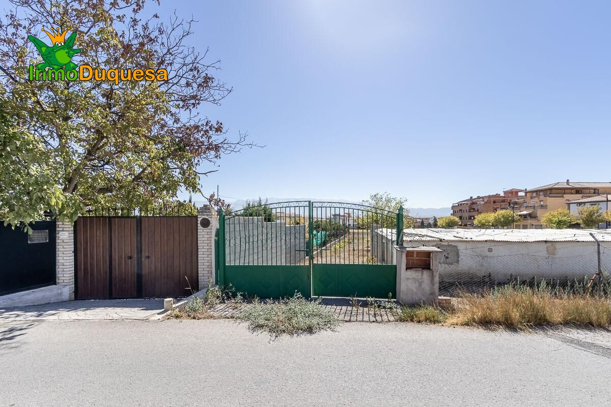 Finca rústica en Atarfe con 2.900 m2 - foto 3