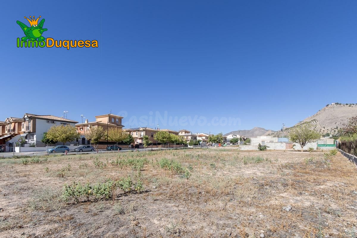 Finca rústica en Atarfe con 2.900 m2 - foto 4
