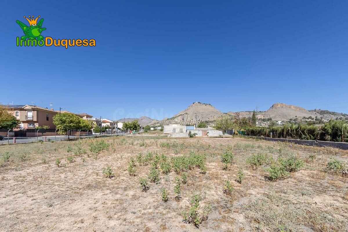 Finca rústica en Atarfe con 2.900 m2 - foto 5